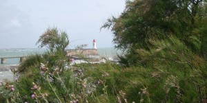 La Chaume - Promenade côtière