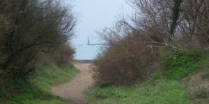 Chemin pédestre autour de la côte sauvage