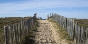 Dunes de la côte sauvage des Sables d'Olonne