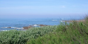 Côte sauvage Sables d'Olonne