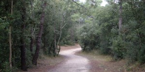 Chemins et pistes cyclables au Sables-d'Olonne