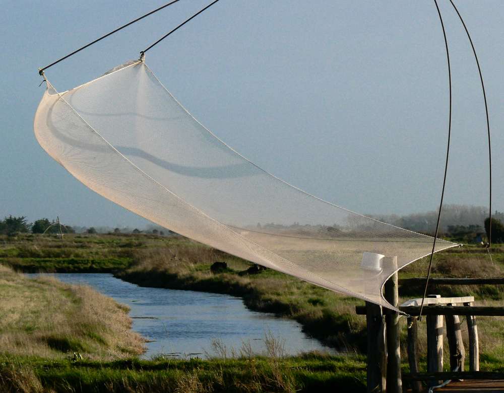 Filet de pêche dans les marais d'Olonne